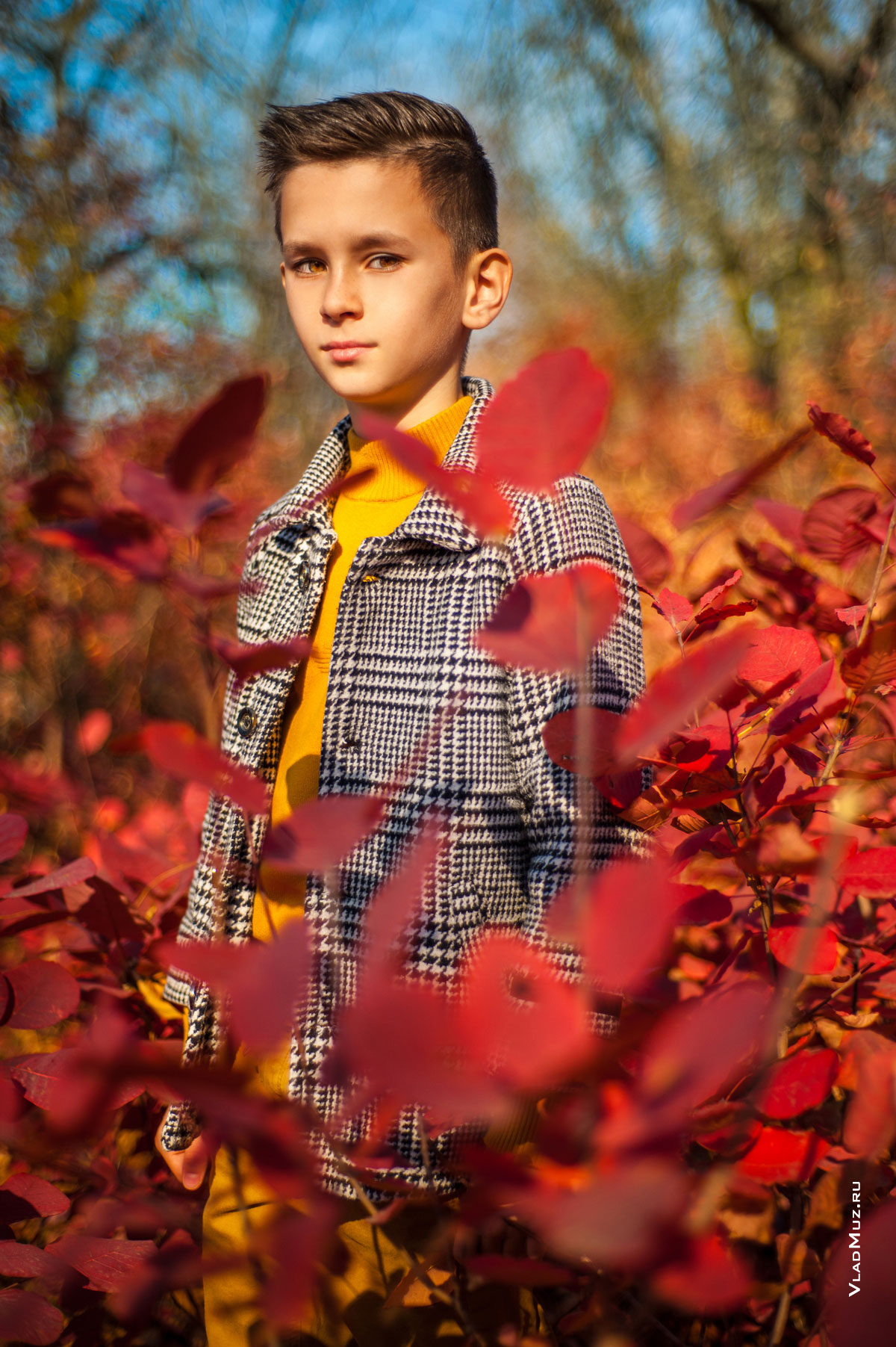 Осенний детский фотопортрет мальчика на фоне кустов из красных листьев