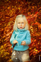Осенний детский фотопортрет девочки в синем свитере на фоне кустов из красных листьев