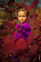 Яркий осенний фотопортрет девочки в бордовых тонах на фоне кустов из красных листьев
