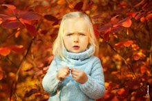 Осеннее фото маленькой девочки на фоне красных листьев