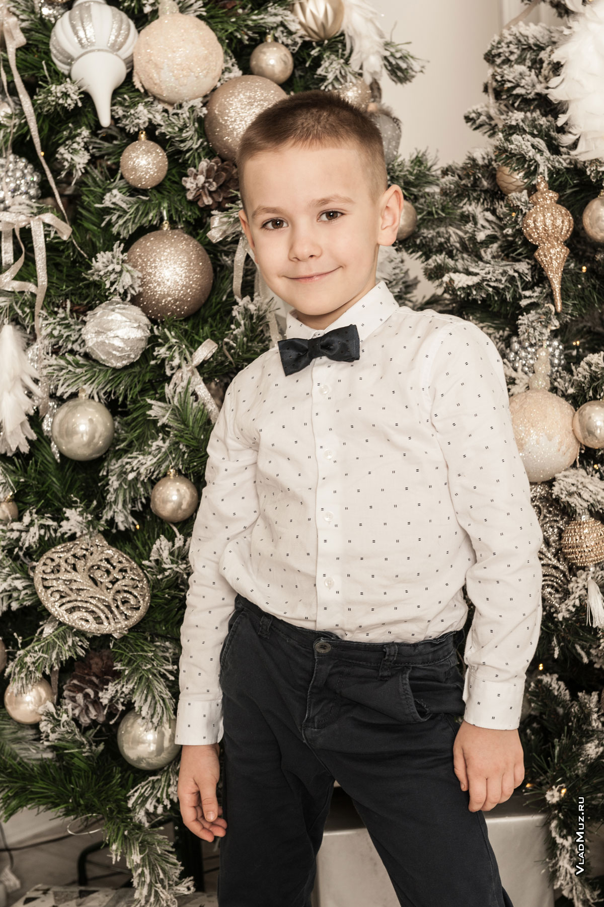 Фото мальчика в белой рубашке с бабочкой на фоне новогодней ёлки