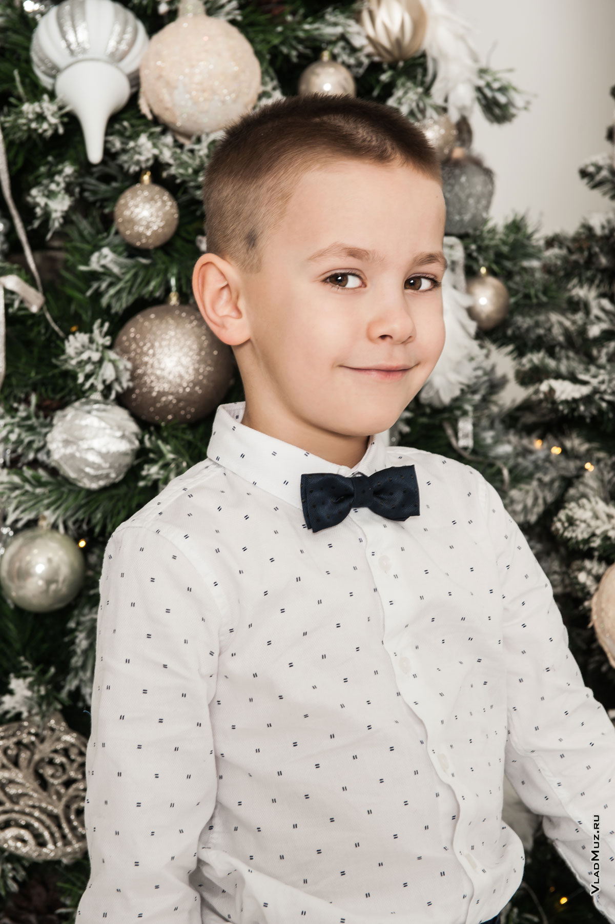 Поясное фото мальчика в белой рубашке с бабочкой на фоне новогодней ёлки