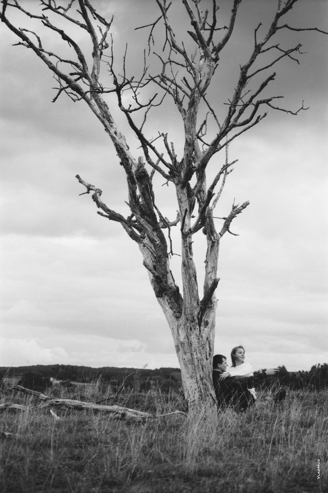 Жанровая фотография под названием «Свидание у старого дерева»
