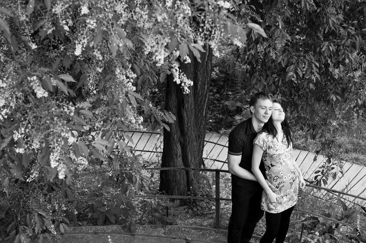 Фото молодой пары под деревом