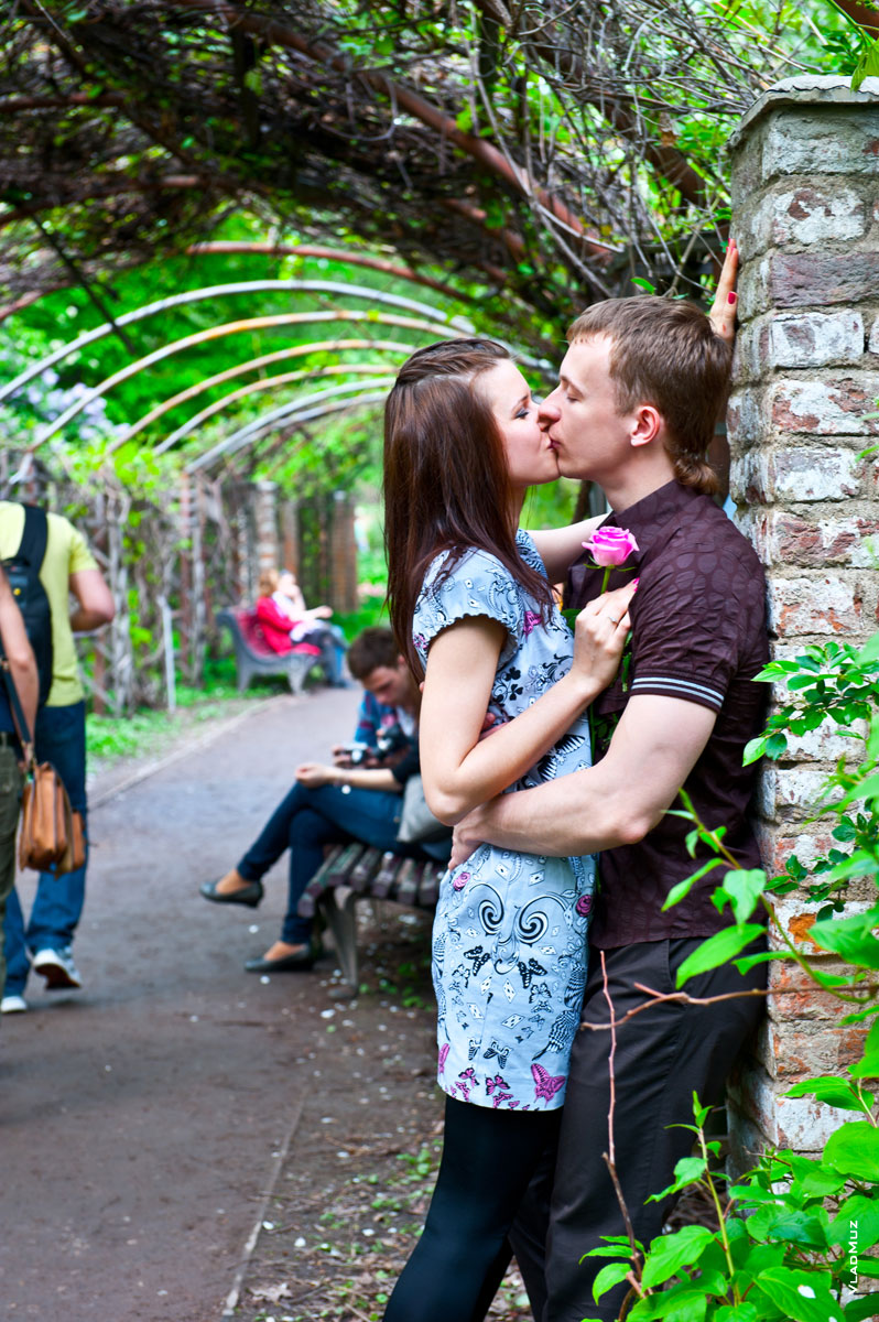 Фото поцелуя влюбленных у стены тенистой аллеи Ботанического сада МГУ