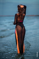    ,     - ,    