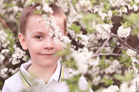 Фото портрет мальчика среди ветвей весеннего цветущего дерева
