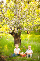 Фотосессия в цветущем саду с детьми