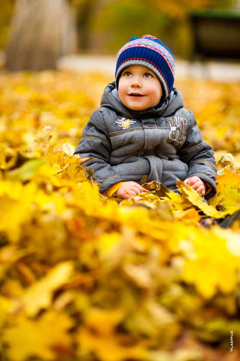 Осенний фотопортрет ребенка с улыбкой, сидящего в парке на желтых листьях