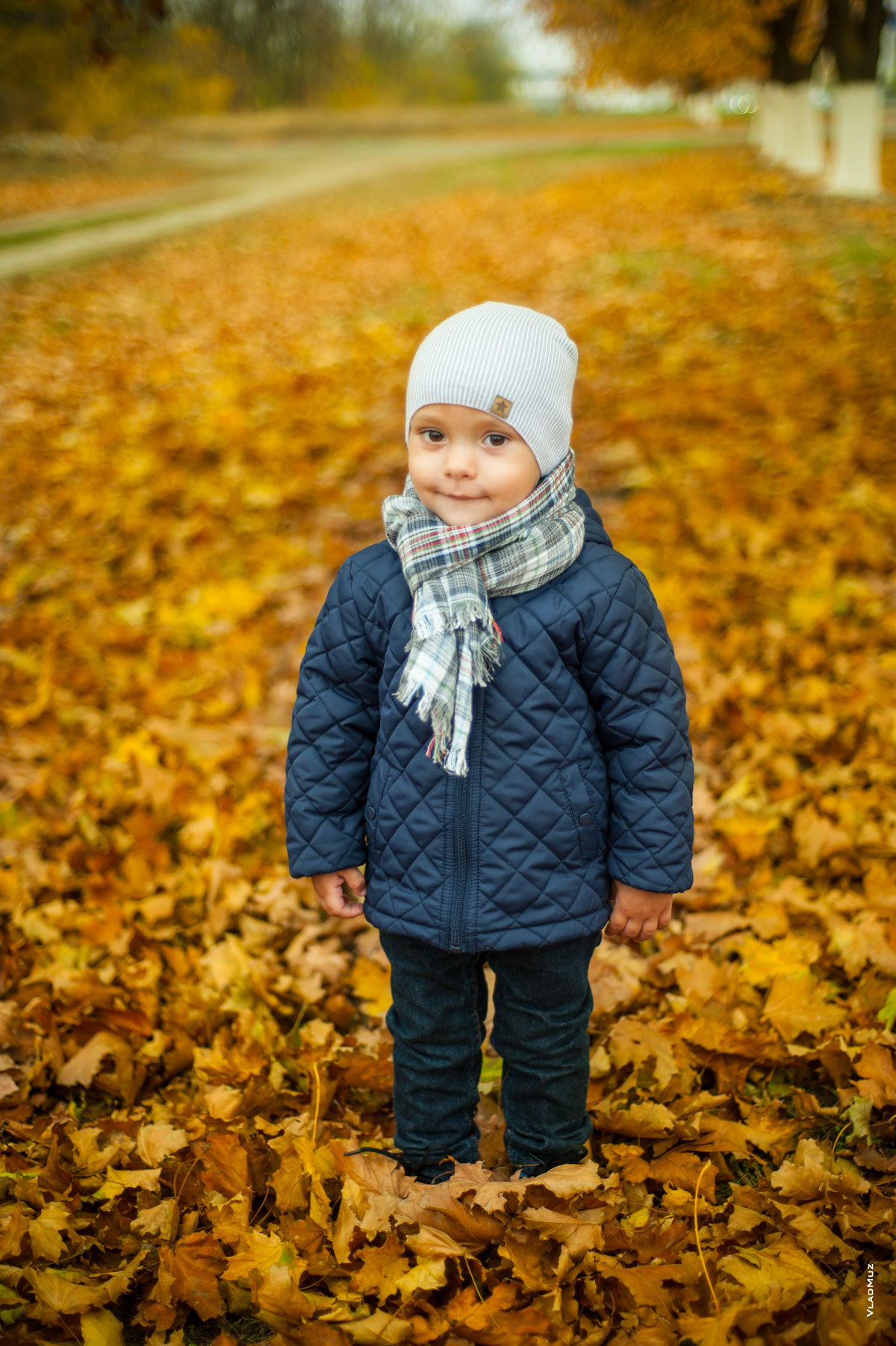 Фото портрет малыша в полный рост на осеннем фоне из желтых кленовых листьев