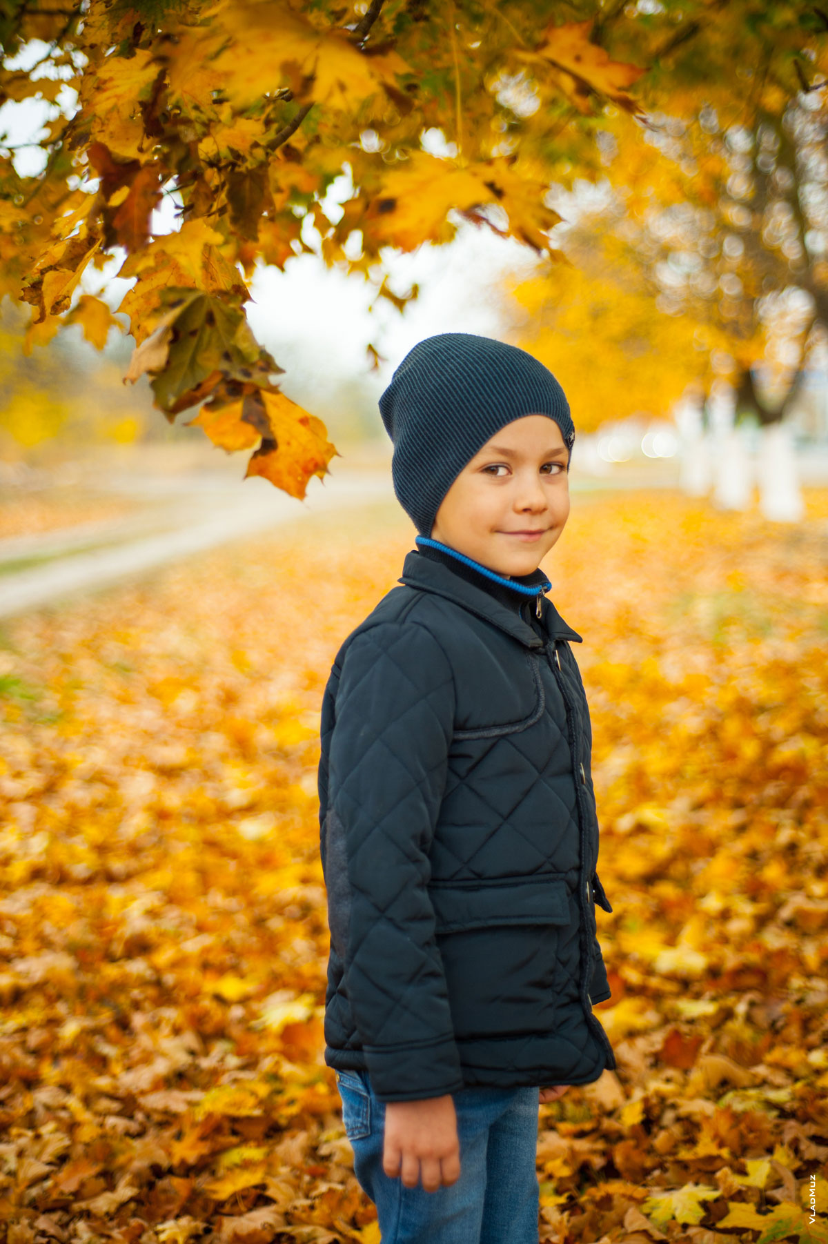 Осенний фотопортрет мальчика под желтым клёном