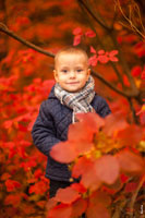 Фотопортрет малыша осенью на фоне красных листьев скумпии