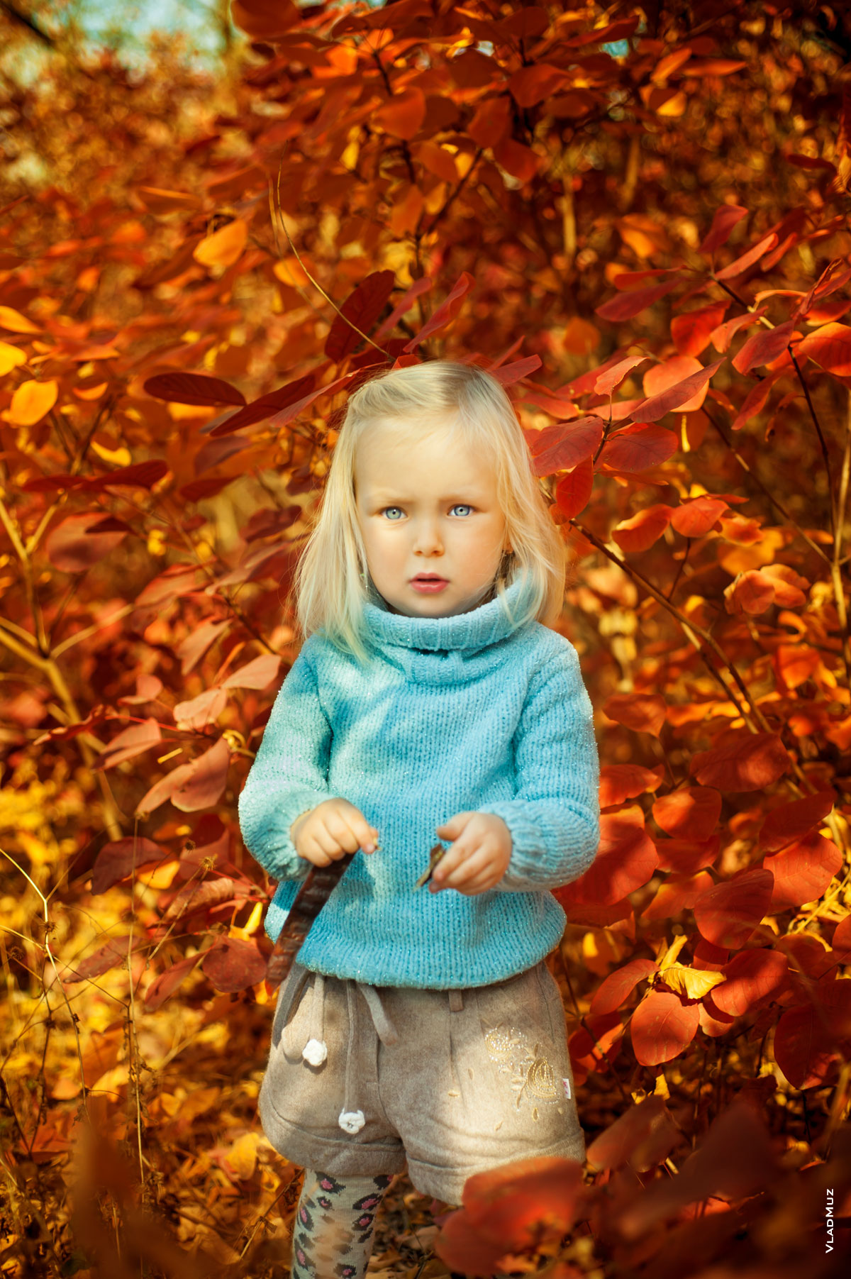 Осеннее фото девочки на желто-красном фоне из листвы