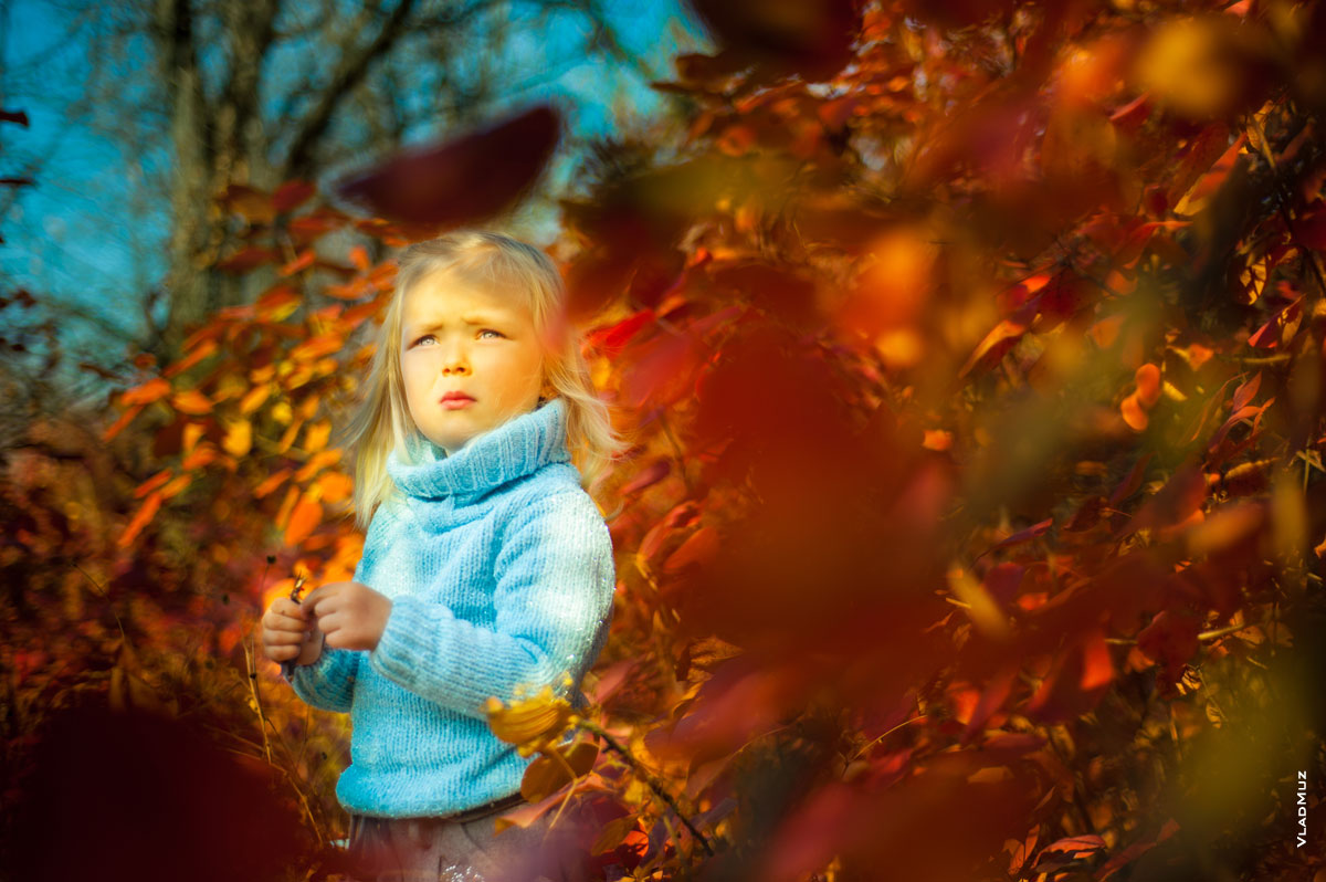 Яркое портретное фото девочки осенью в лучах солнца на фоне красно-желтых листьев