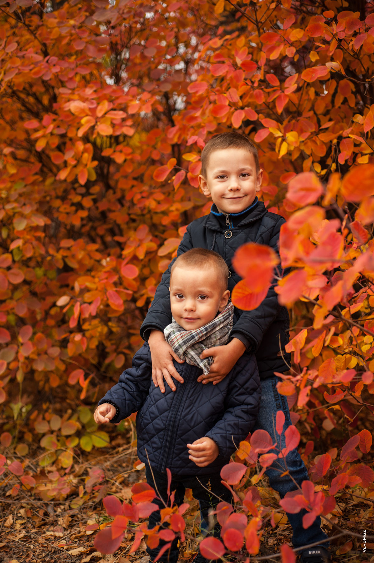 Парный детский фотопортрет 2-х мальчиков осенью на фоне красно-желтых кустов скумпии