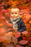 Осеннее фото ребенка на фоне красно-желтых листьев