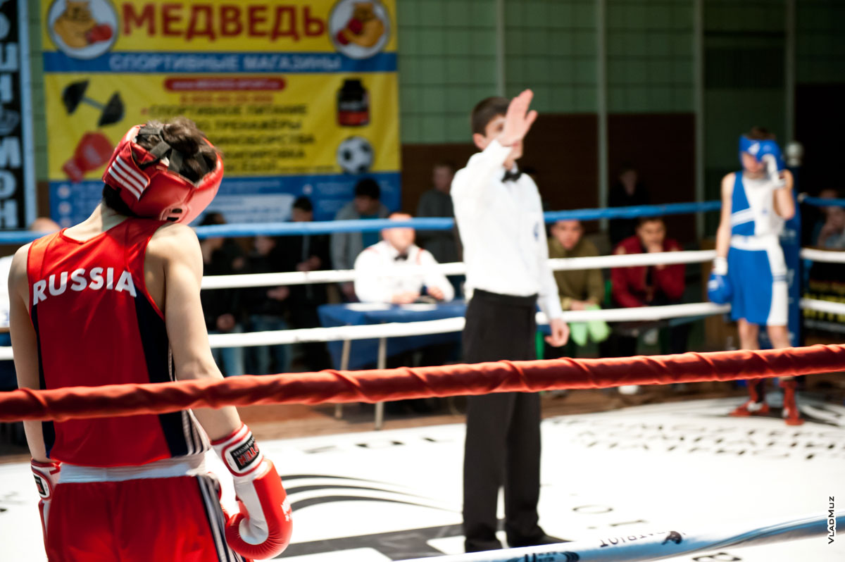 Фото начала боя между боксерами