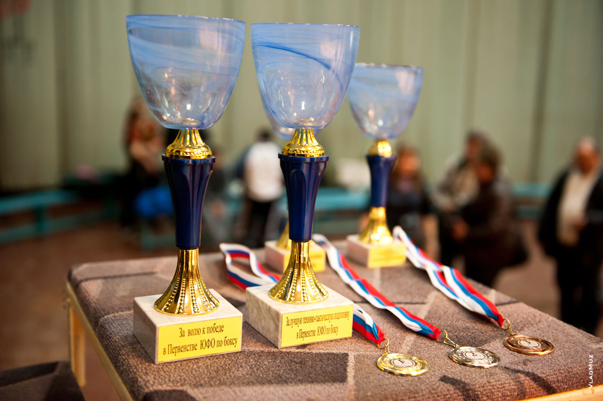Кубки и медали за победу в соревнованиях по боксу в Новочеркасске