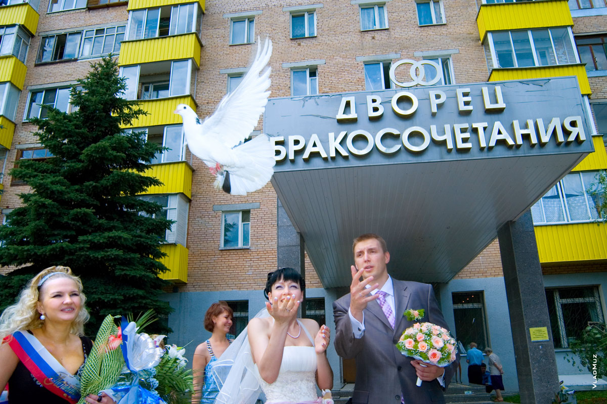 Фото свадебного голубя, жениха с невестой, свидетельницы и Дворца бракосочетаний в Мытищах