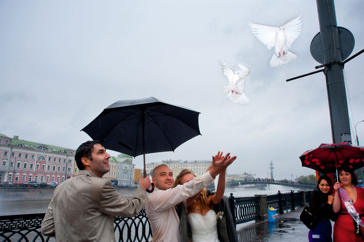 Смешное фото гостей, а также жениха и невесты, выпускающих голубей во время дождя
