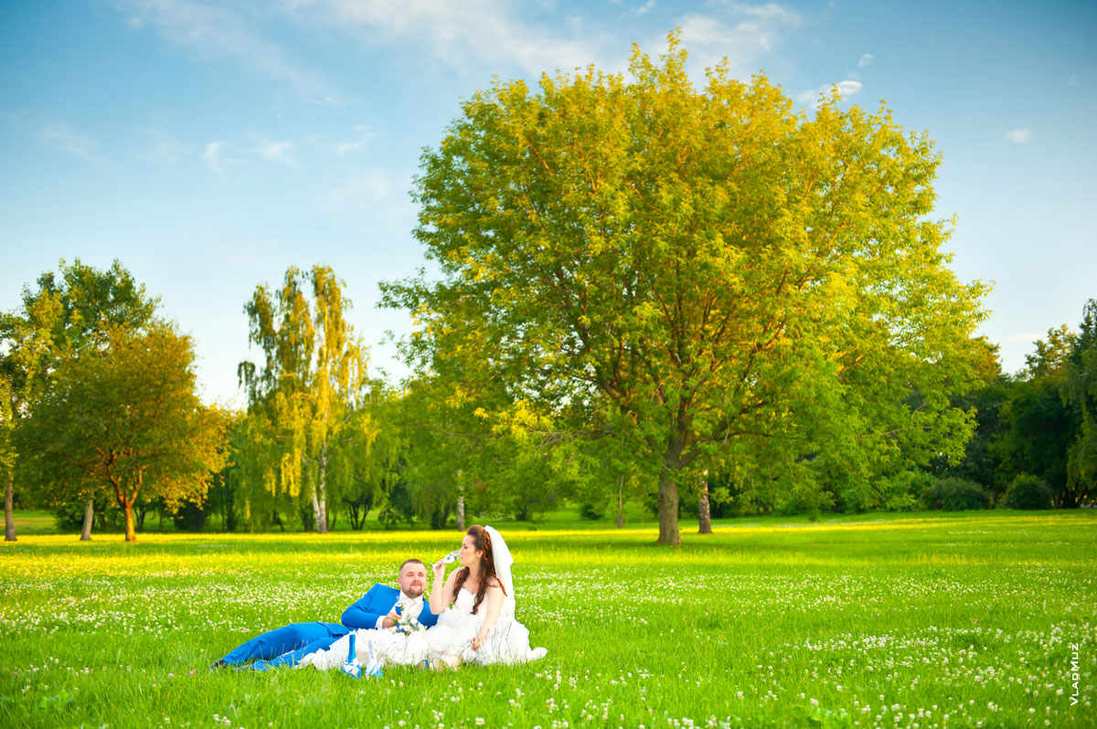 Летнее свадебное фото жениха и невесты на лужайке в Коломенском с бокалами шампанского