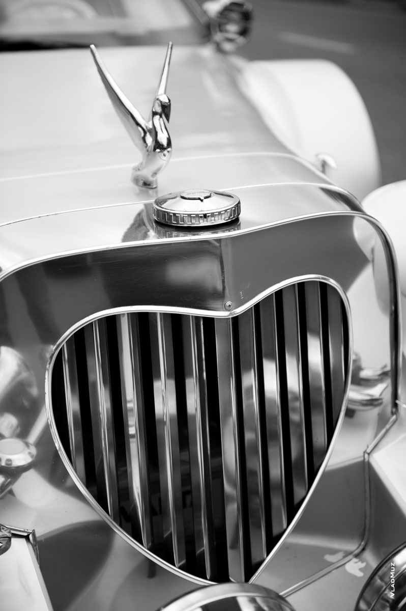 Фото радиаторной решетки свадебного лимузина в форме сердца