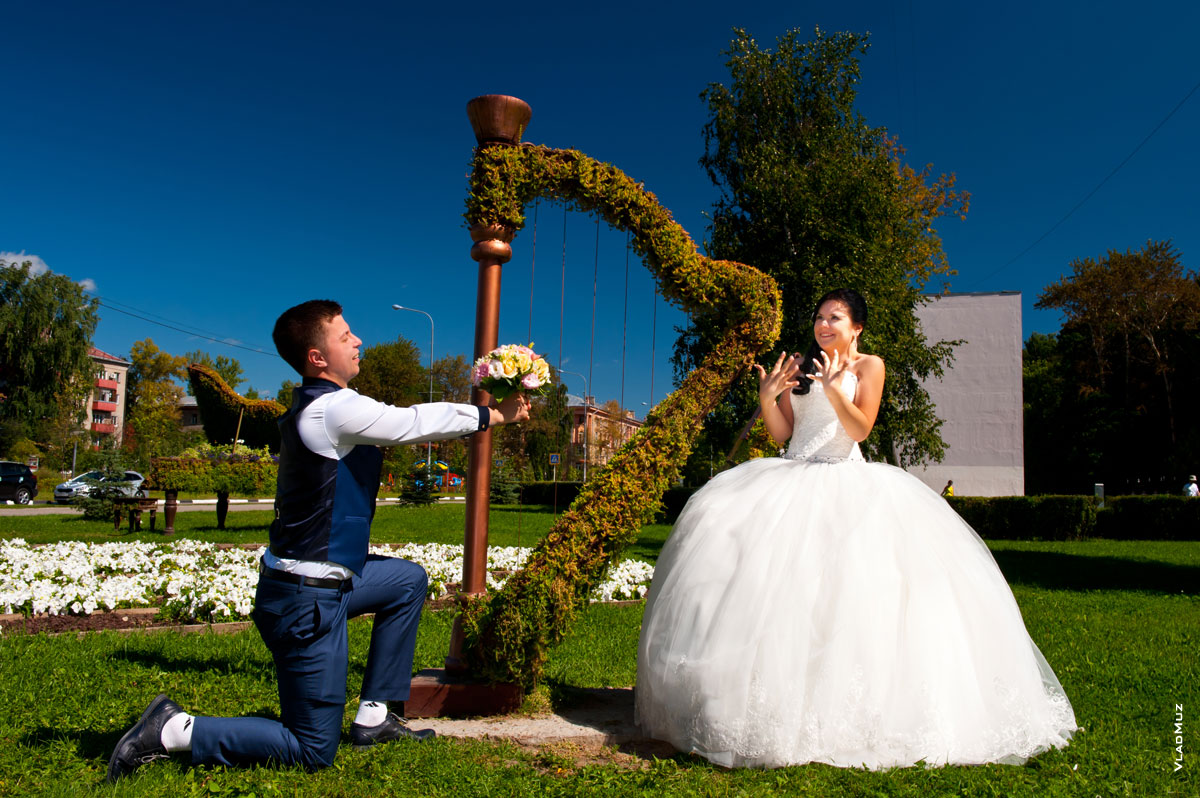 Фото жениха с букетом на колене перед невестой на лужайке у арфы. Невеста в восторге!