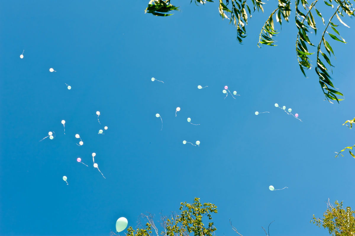 Фото парящих свадебных шаров в небе над городом Королёвом