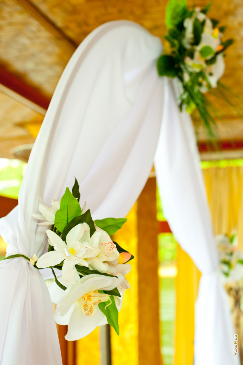 Фото свадебной арки, украшенной цветами в «Малибу», Пирогово