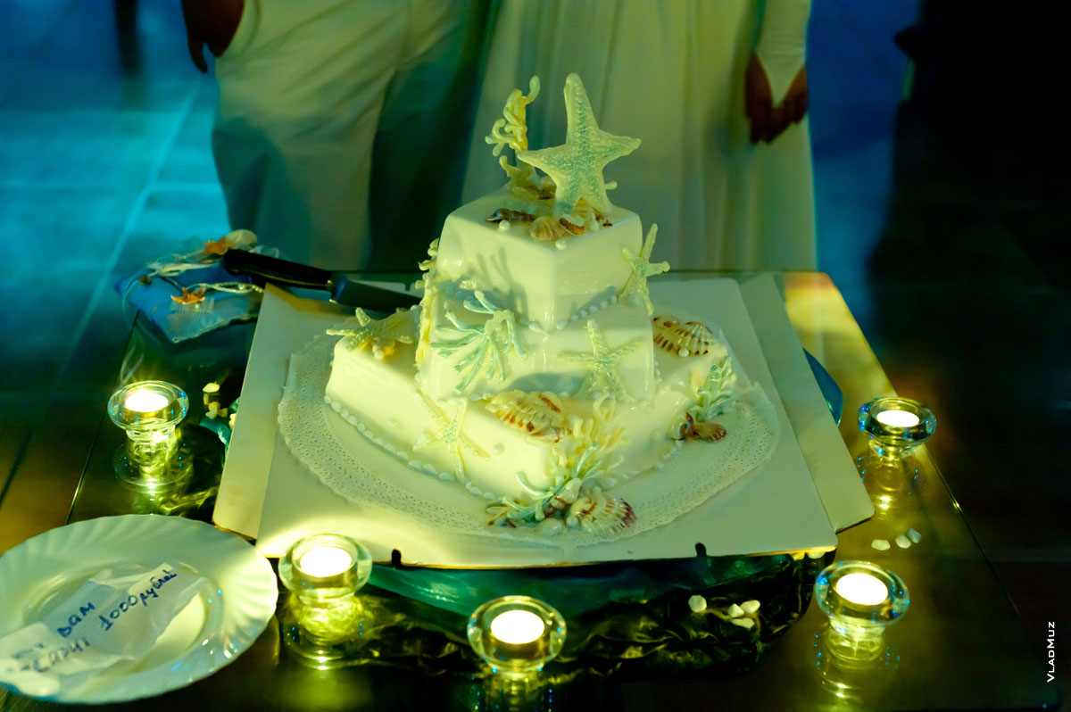 Фото свадебного торта с морскими звездами, ракушками и другими видами морской флоры и фауны