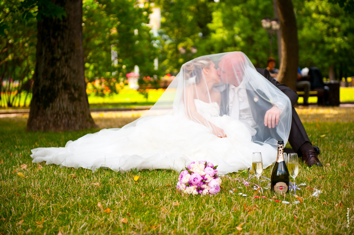 Фото свадебного поцелуя невесты и жениха на лужайке в парке, накрытых фатой невесты
