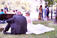 Фото сидящих на лужайке жениха и невесты сзади. Невеста обернулась ко мне, прикрыв лицо фатой
