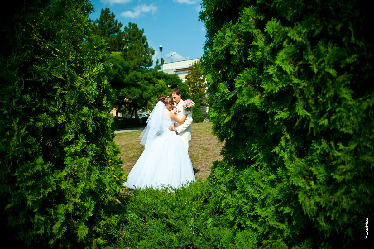 Фото жениха с невестой во фрейме среди хвойных деревьев перед Атаманским дворцом в Новочеркасске