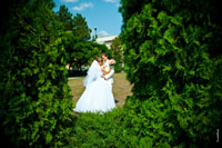 Фото жениха с невестой во фрейме среди хвойных деревьев