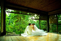 Фото свадебной пары сзади, сидящей на краю террасы в саду Толоконникова