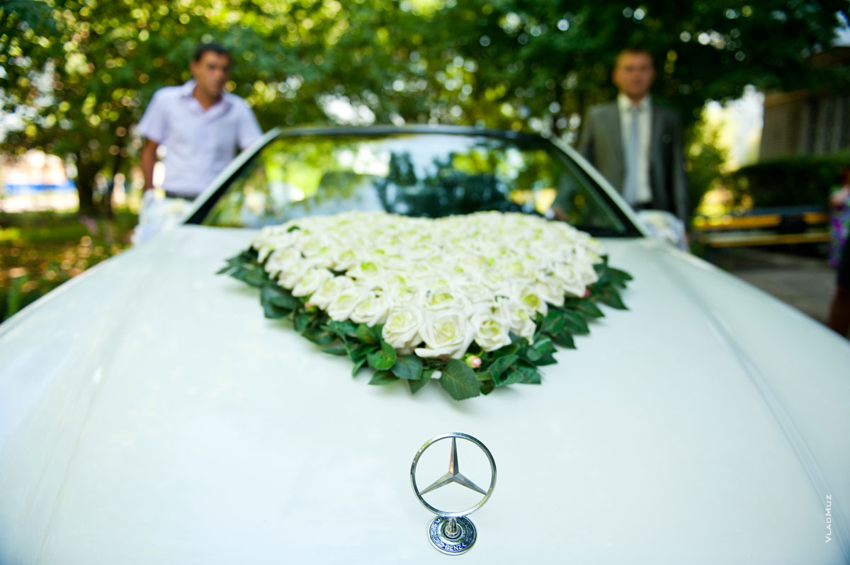 Фото знака Мерседес на капоте машины, сердца из белых роз и жениха со свидетелем