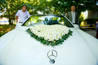 Фото знака Мерседес на капоте, сердца из белых роз и жениха со свидетелем