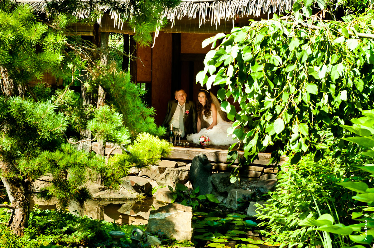 Фото свадебной пары в японской хижине на берегу пруда в саду Толоконникова в Новочеркасске