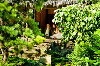 Фото свадебной пары в японской хижине на берегу пруда