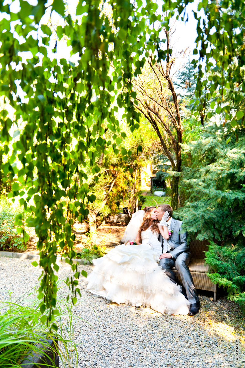 Фото поцелуя влюбленных молодоженов на лавочке ботанического сада Толоконникова