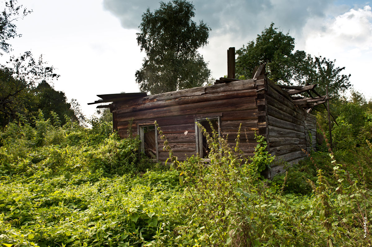 Фото разрушенного деревянного дома без крыши в деревне Науховичи, в Белоруссии