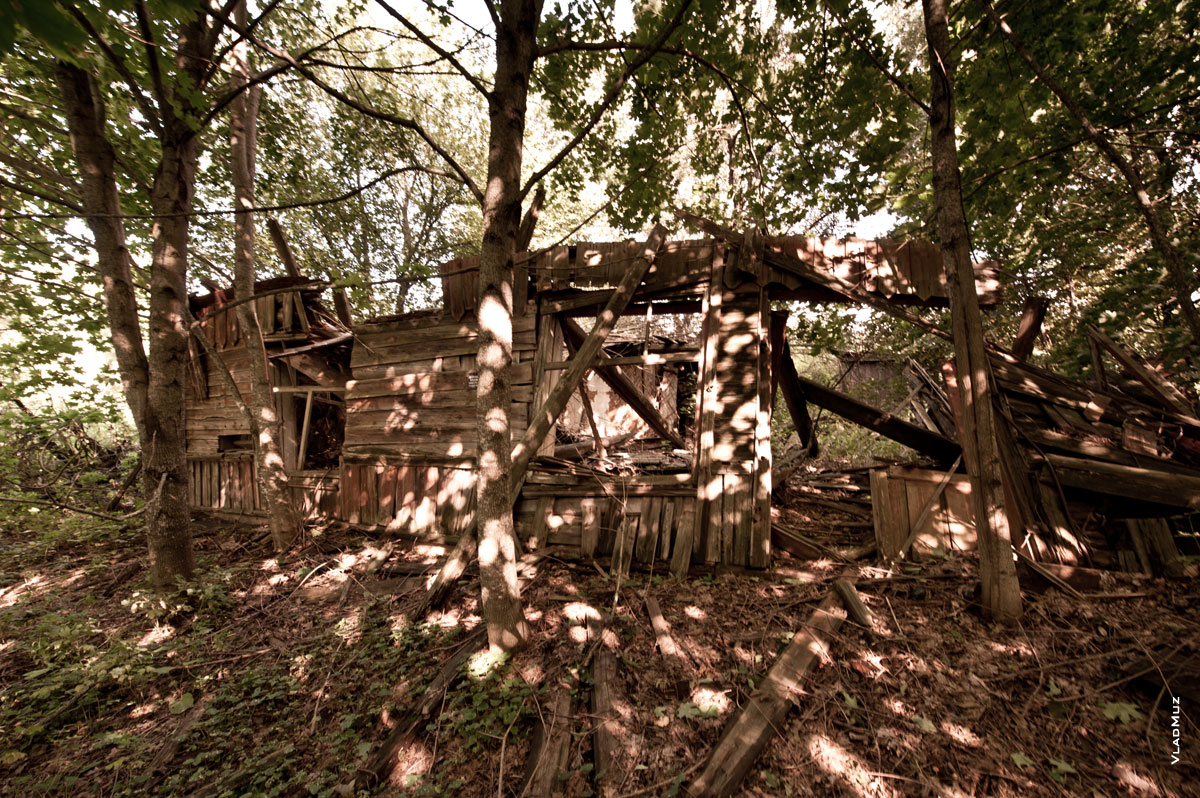 Фото разрушенного деревянного дома в деревне Науховичи