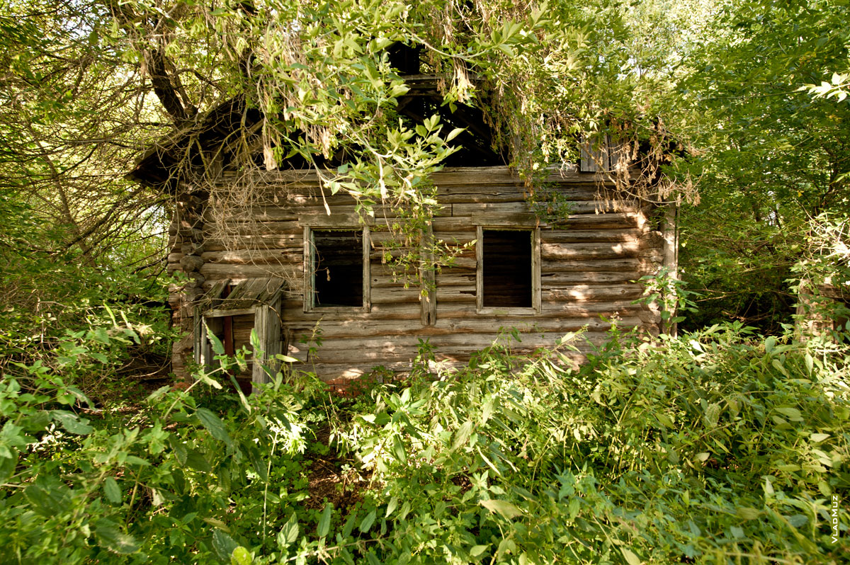 ���� ������������ ������������ ���� � ���� ��������� � ����������