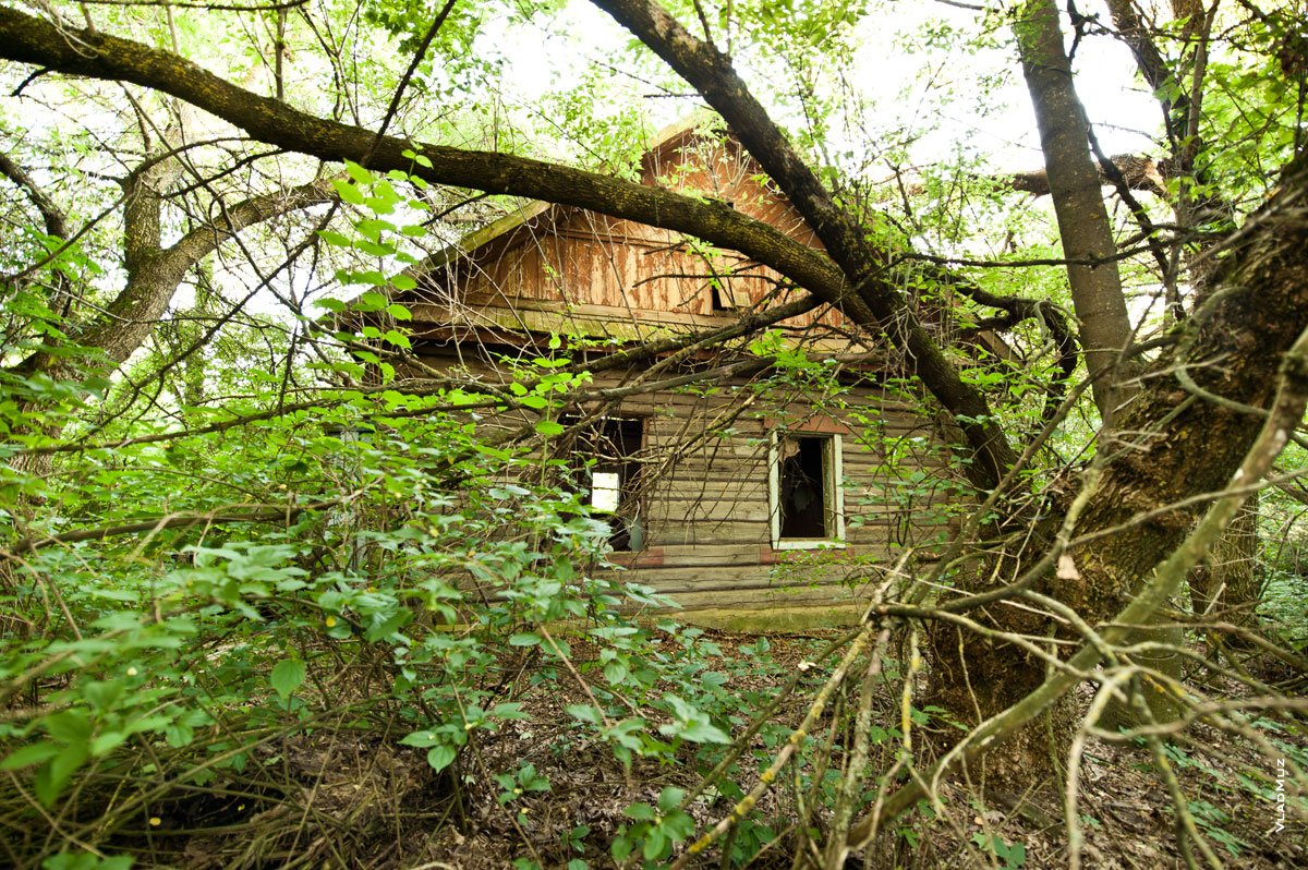 Фото брошенного деревянного дома в деревне в Белоруссии