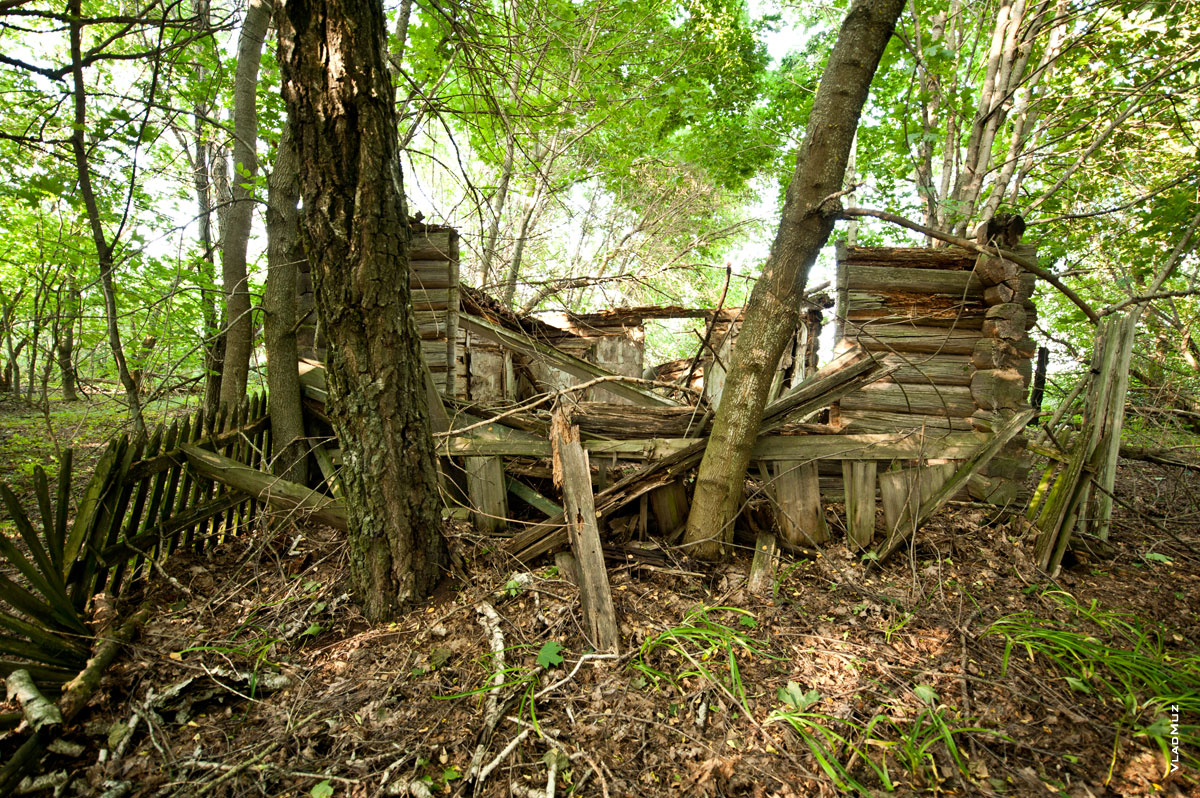 Фото разрушенного деревянного дома в деревне Слободка в Чечерском районе Гомельской области, в Белоруссии