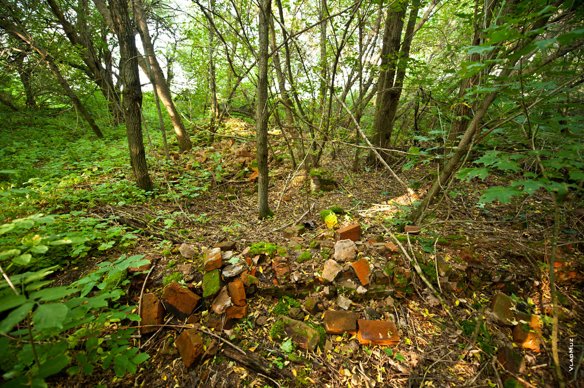 ���� 10. ����������� ������� �������� � ��������� ������ ���������� �������, ����������