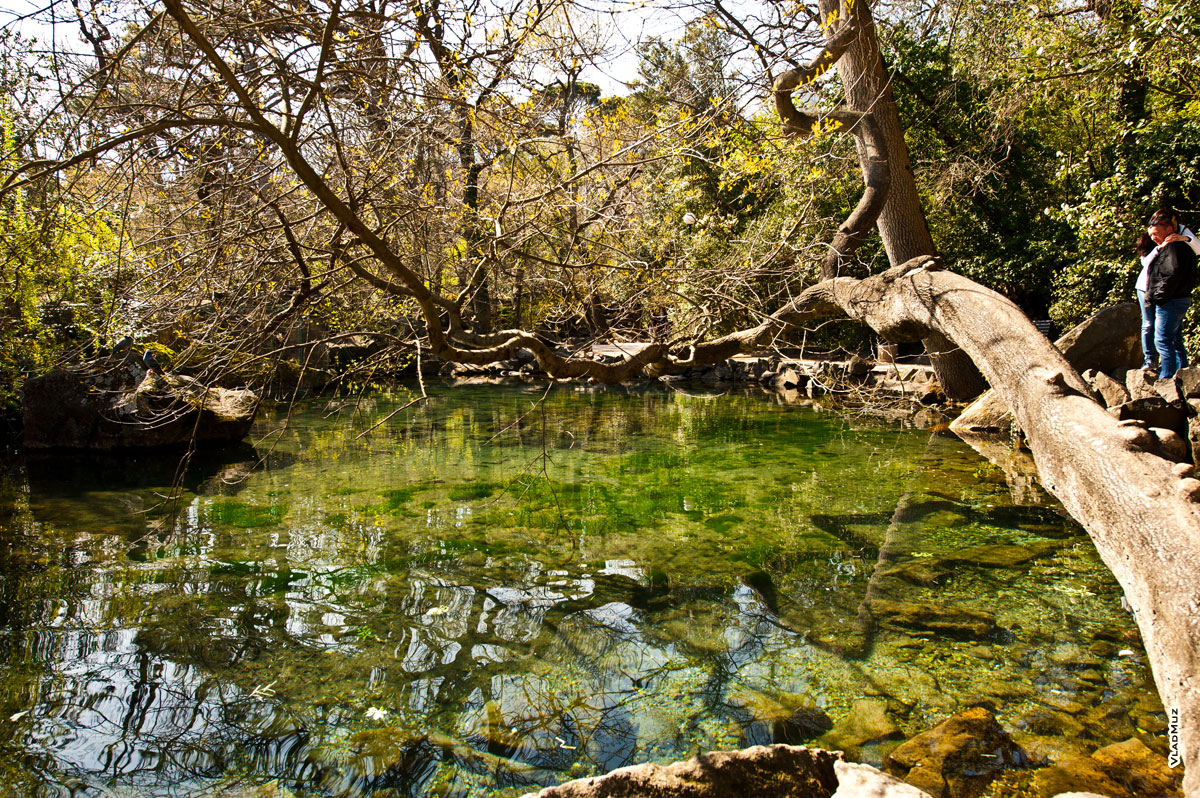 Фото среднего Форельного озера в Алупкинском парке в Крыму весной