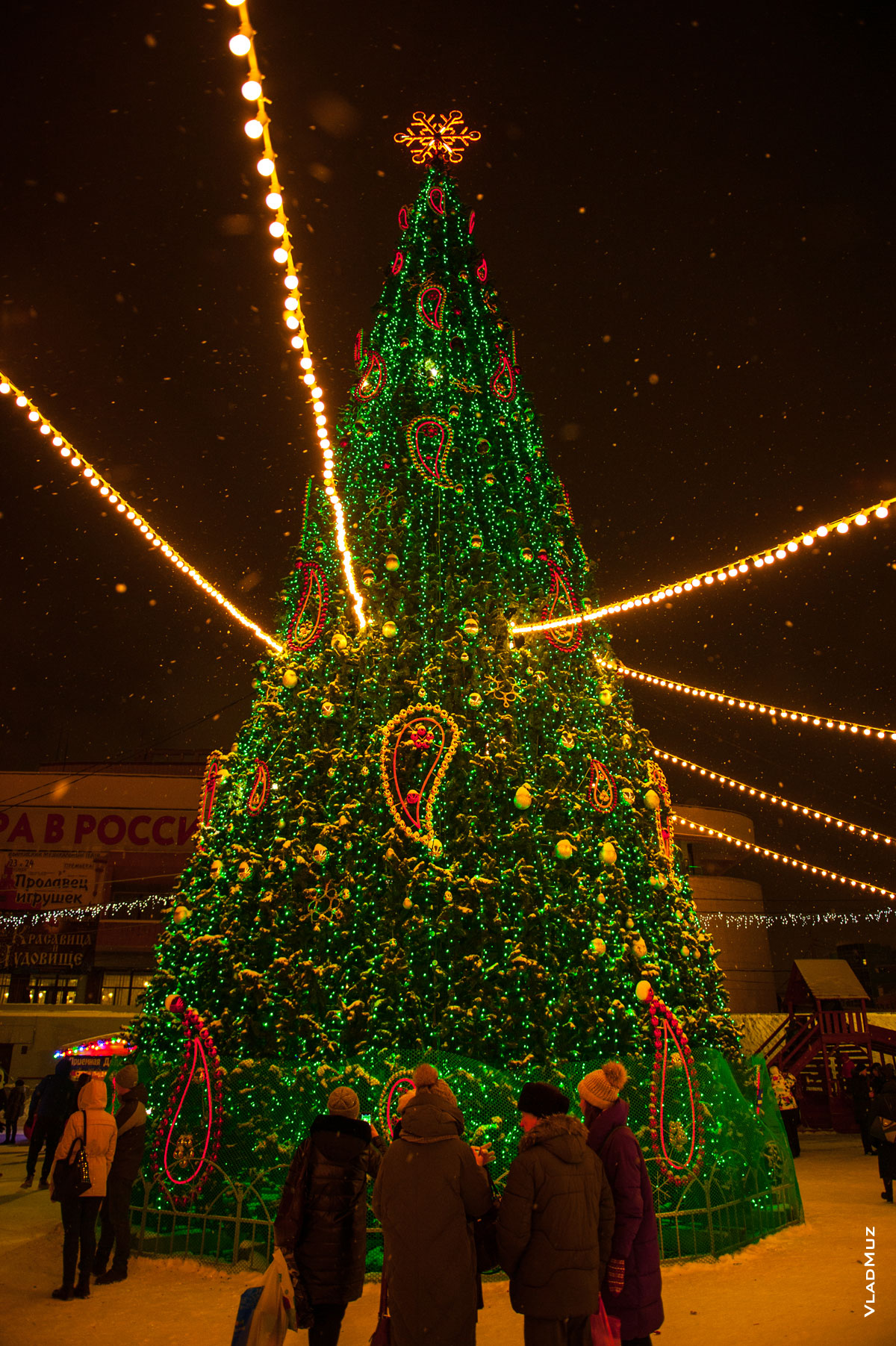 Фото главной новогодней ёлки областного центра Иваново на площади Пушкина у Дворца искусств