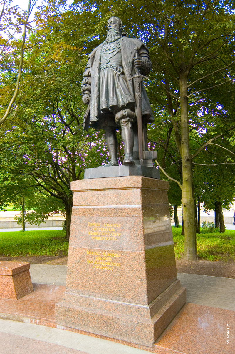 Памятник герцогу Альбрехту в Калининграде, основателю Кенигсбергского университета