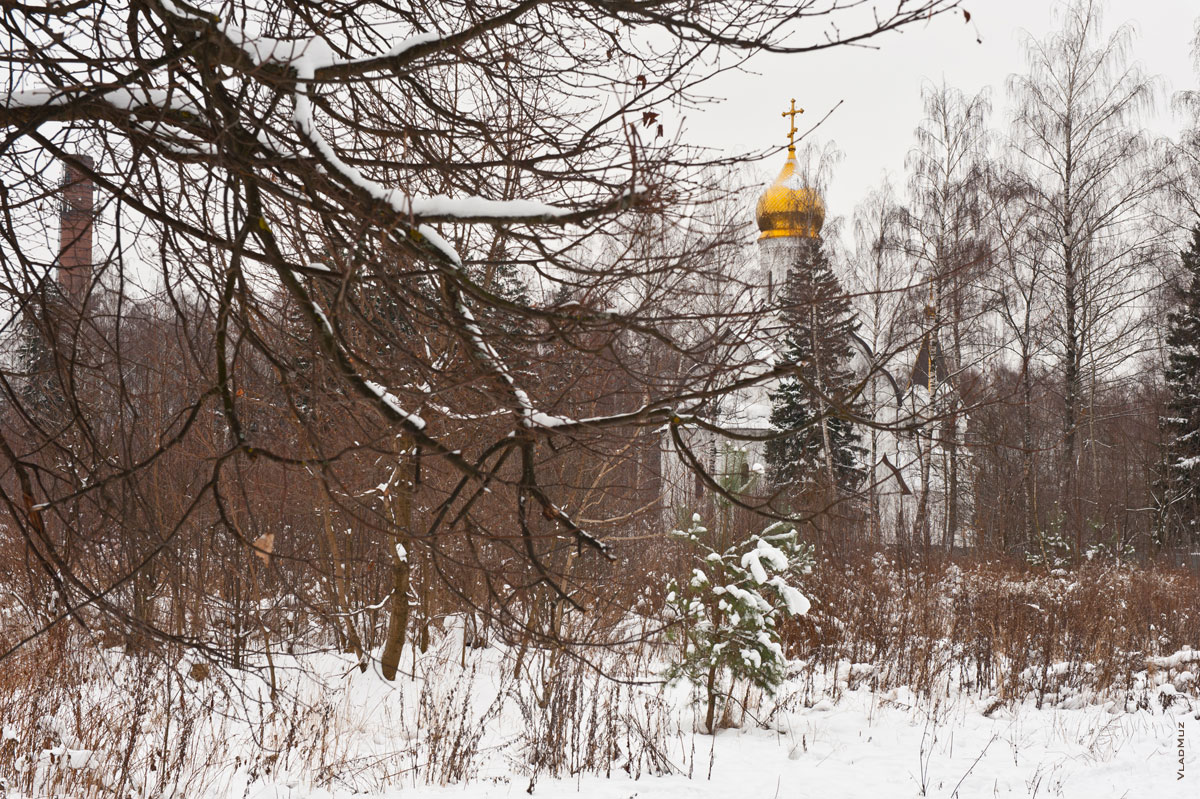 Зимний фотопейзаж в Комитетском лесу г. Королёва: силуэт храма Новомучеников и Исповедников церкви Русской в Юбилейном